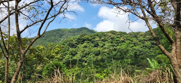 八里觀音山，三芝紅葉谷瀑布，內柑宅古道，基隆大德山，南港麗山橋口步道，東新埤步道，松山療養所日式宿舍1822851