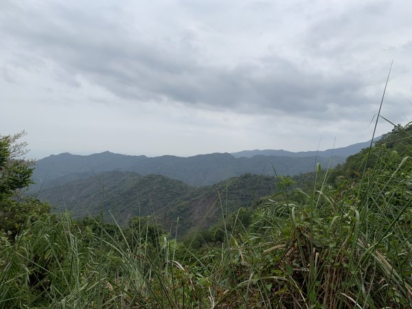 20250404屏東北獅子頭山-霧里乙山2757471