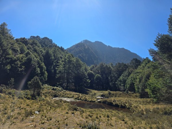 卓社大山〔武界栗栖溪登山口起登〕2748493