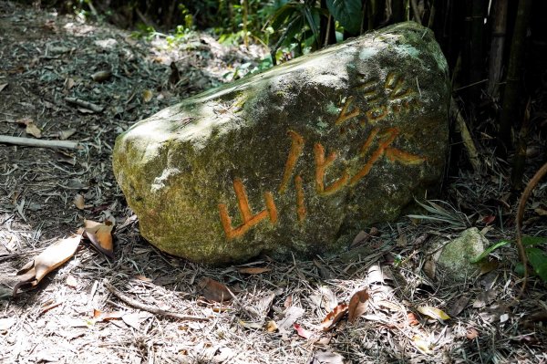 觀音山 硬漢嶺2870048