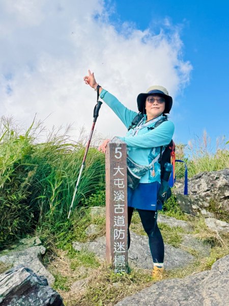 小觀音西峰 二子坪步道 小油坑山3129485