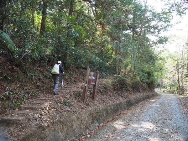 南投惠蓀林場園區步道O-20190301536050