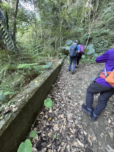 20251123三腳南山登山步道2944455