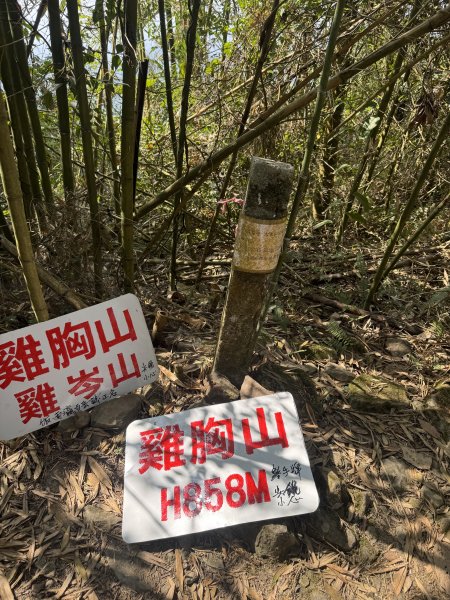 《白鷲山》《大白鷲山》《雞胸山》2999422