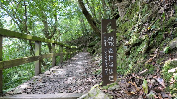 福山部落,內洞森遊區2552456
