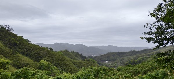 2025/04/13_大窩文史生態區步道2760246