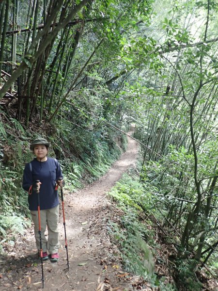 漫遊霞喀羅古道1158667