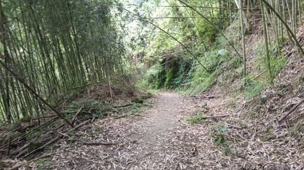 20251004 馬那邦山 - 珠湖 登山口2904803