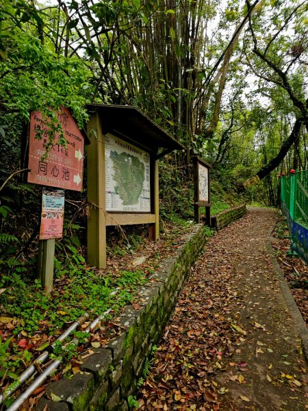 2025年臺北大縱走第四段：風櫃口至中華科大2755988