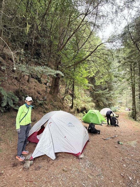 230林道糜爛去    2025.2.28-3.12733776