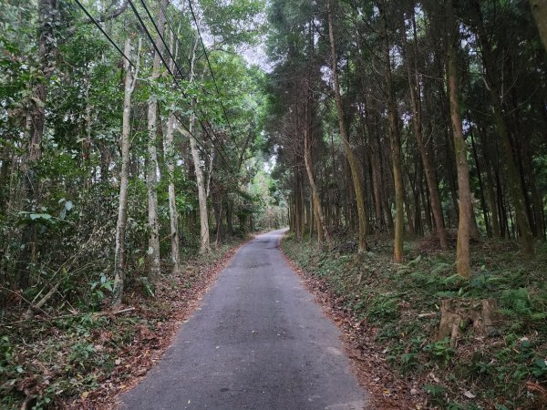 20241208上坪登五指山2683652