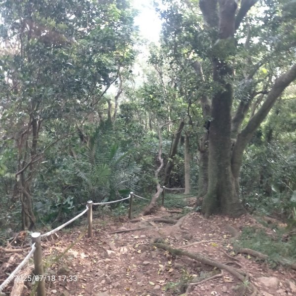 臺北大縱走第一段：關渡至二子坪2840469