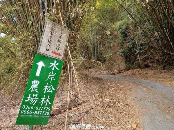 【南投國姓】兩個女生的山野包山行。 眉冷山步道x梅島山x眉冷山2066643