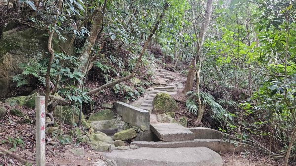 20260126北投貓咪洞-熱海岩場-八頭山