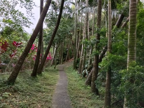 汐止區小南港山(橫科山)+白匏湖+白匏湖山+白雲古道2970616