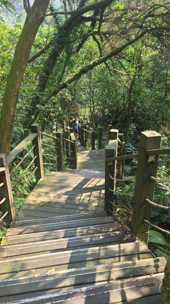 2025-0310臺北大縱走第七段2737268