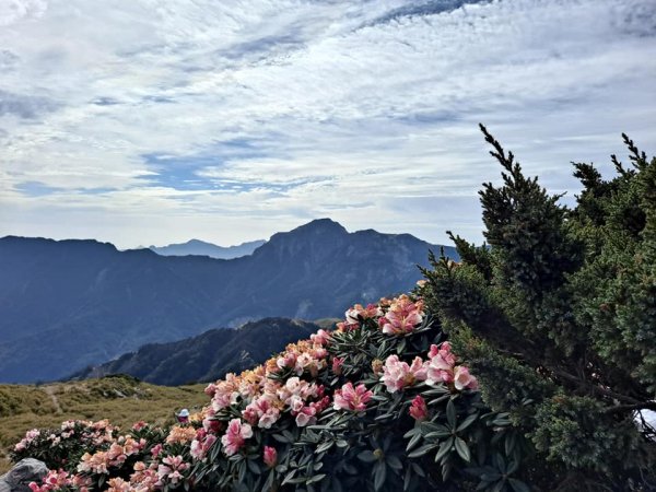 20210501 挑戰人生第一座百岳--合歡東峰1371006