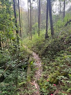 20250517 建安+鳥嘴+雙港子群峰 O型2788291