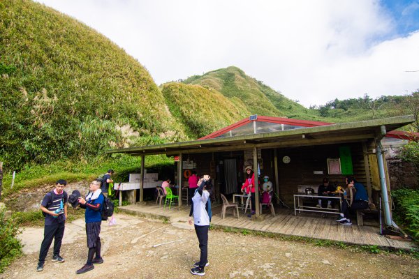 抹茶山1508481