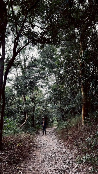 🌈12/14(日)南部最佳百岳練習場~小百岳-尾寮山✨FB：熊熊趴爬走🌈2961690