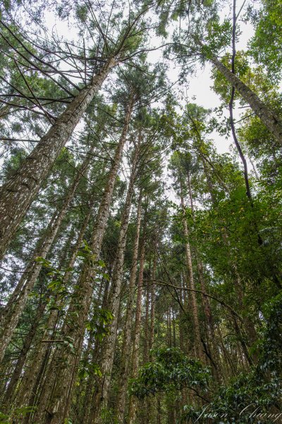 谷關七雄_屋我尾山2977004