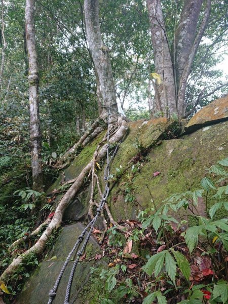 那結山（嘎色鬧部落線）893465