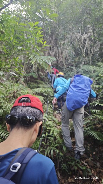 2025-1130 新店三(二)潭縱走2966903