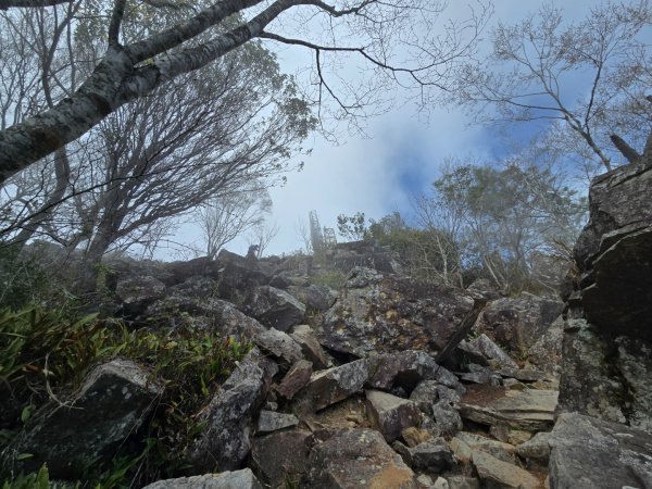 東卯山／東卯山西峰+賞山櫻花2715989