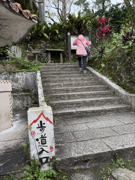 汐止大尖山-202503172770522