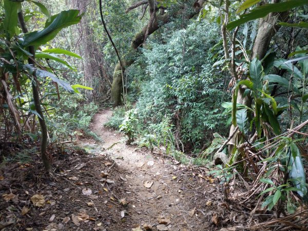 黎和生態公園→富陽自然生態公園→中埔山/東峰→福州山→富陽自然生態公園1438404