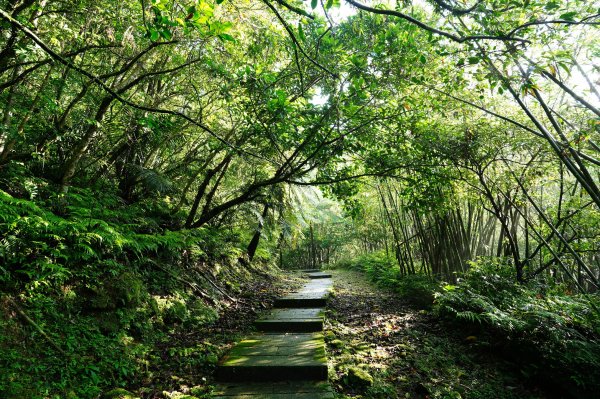 新北 平溪 頂子寮山、五分山3043960