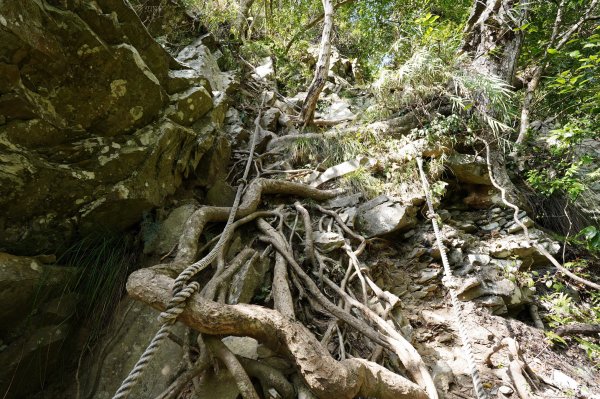 臺中 和平 屋我尾山、十文溪山2699459