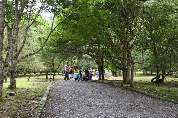 2025_0712 福山植物園2836251
