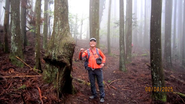 【油羅山/露營】 仙境舒活健走，雲端徜徉野趣！2887930