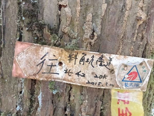 坪林區南豹子廚山+豹子廚古道+北豹子廚山2900486