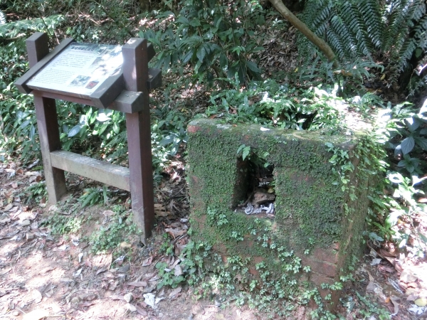 冷擎步道．日人路．魚路古道94240