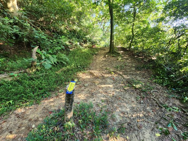 20250913秀才步道福人步道保甲古道2929853