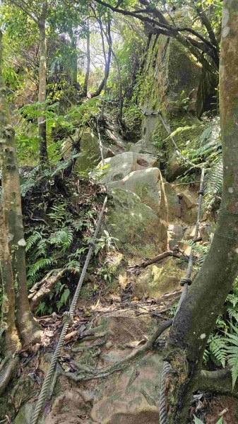 20250427魚衡山-南峰-南南峰-猴山岳北北峰-北峰-主峰-前峰-西峰下指南宮2771953