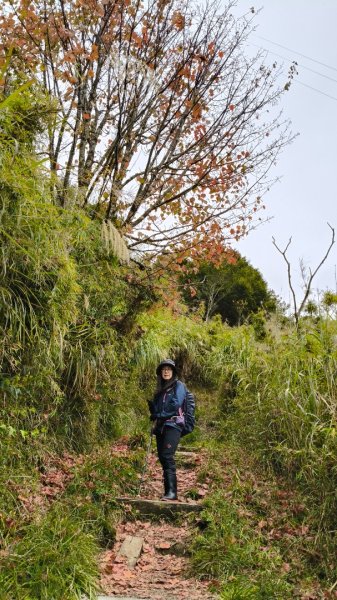 神阿縱走~台灣難抵極~大塔山2971492