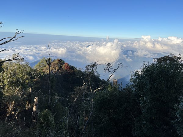 加里山 杜鵑嶺 2054峰 稜線遊玩 看雲海1918563