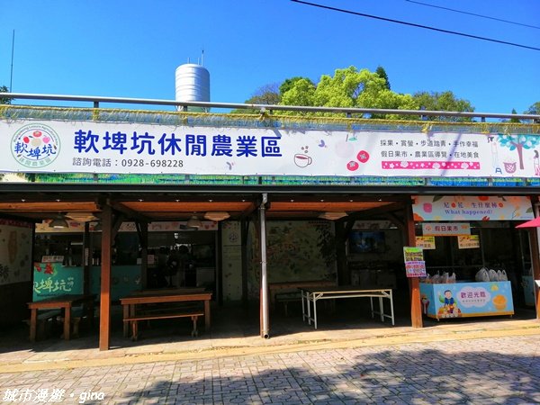 台中~繁花盛開之山旅漫遊~軟埤坑天梯步道1302217