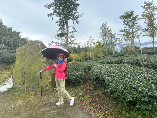 溪頭山、竹崙山、志騰山、妖怪村2877889