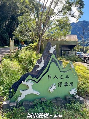 【台中和平】生態廊道。 雪山坑環線步道x巨人之手觀景點2953997