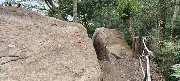 馬那邦山(上湖登山口)-2026/04/18封面