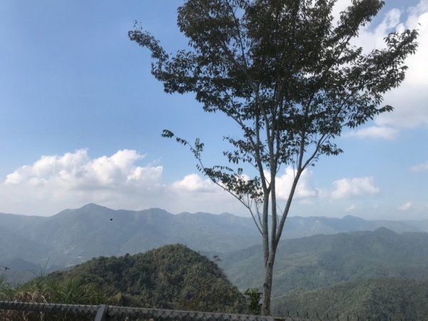 日月潭輕鬆撿小百岳502849