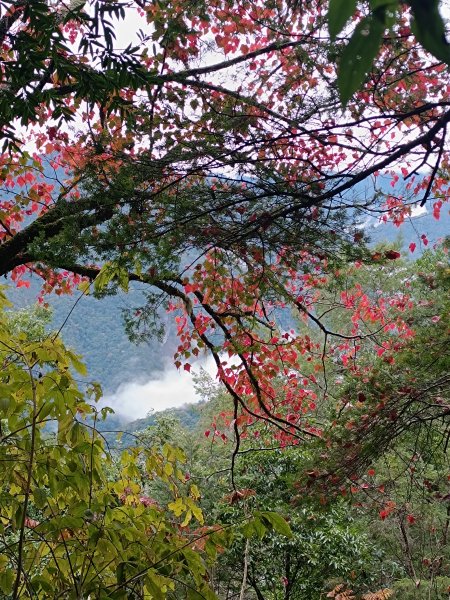 霞喀囉步道(全程)2972331