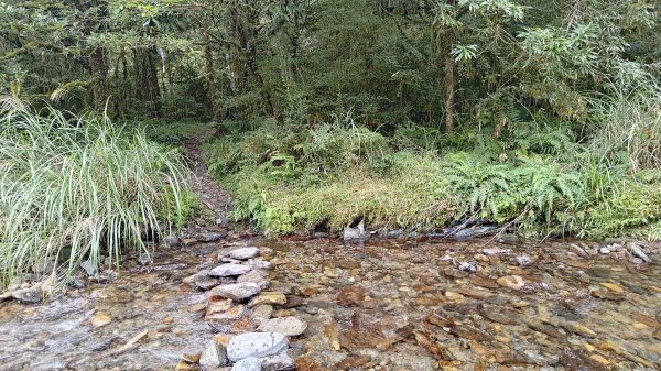 棲松縱走未竟2918333