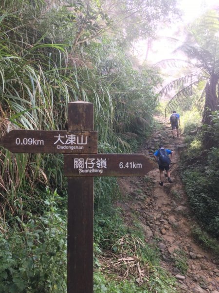 20181026-大凍山初登444955