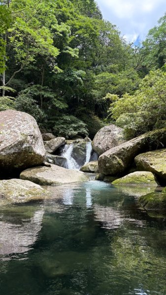 戲水（鴛鴦2786726