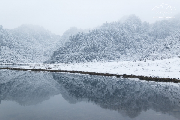 【攝野紀】夢幻般的雪中松蘿湖264547